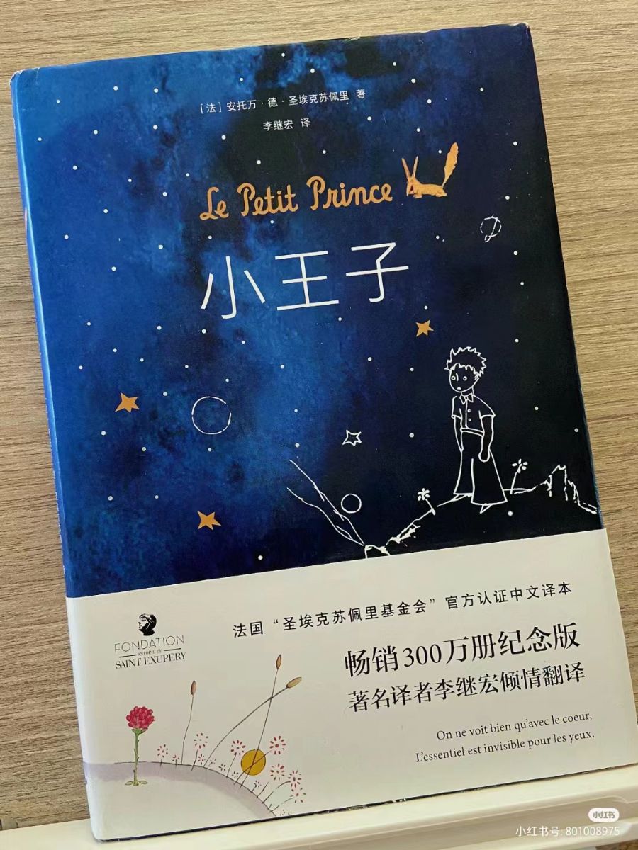爱与责任的深刻探讨